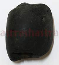 Shaligram 10734 60gm